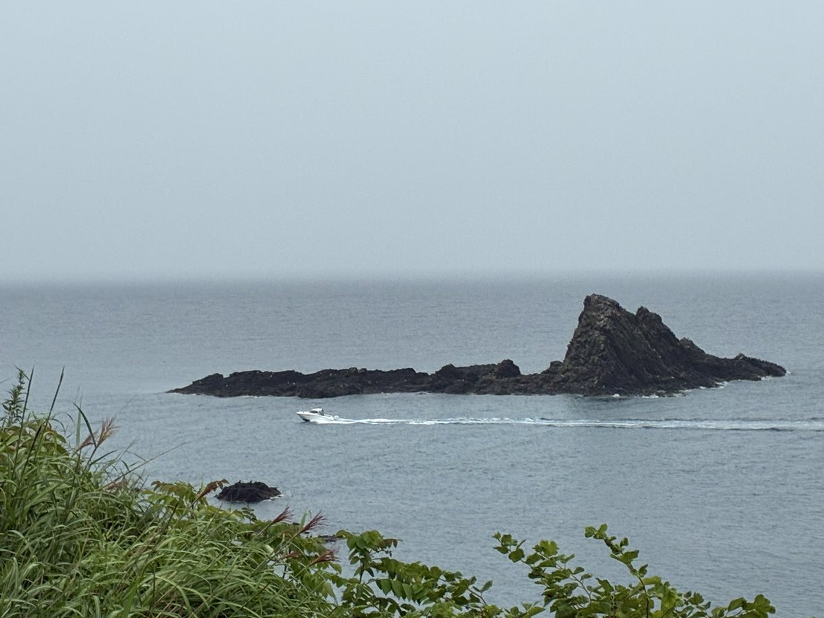 Uds0826's tweet photo. flying海豚を見るなどしました https://t.co/7tpnhuqSn6