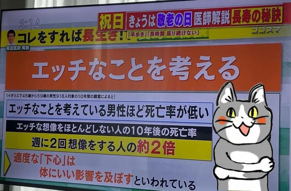 Sentinel_JUN's tweet photo. ふむ https://t.co/8HwNUUk1O6