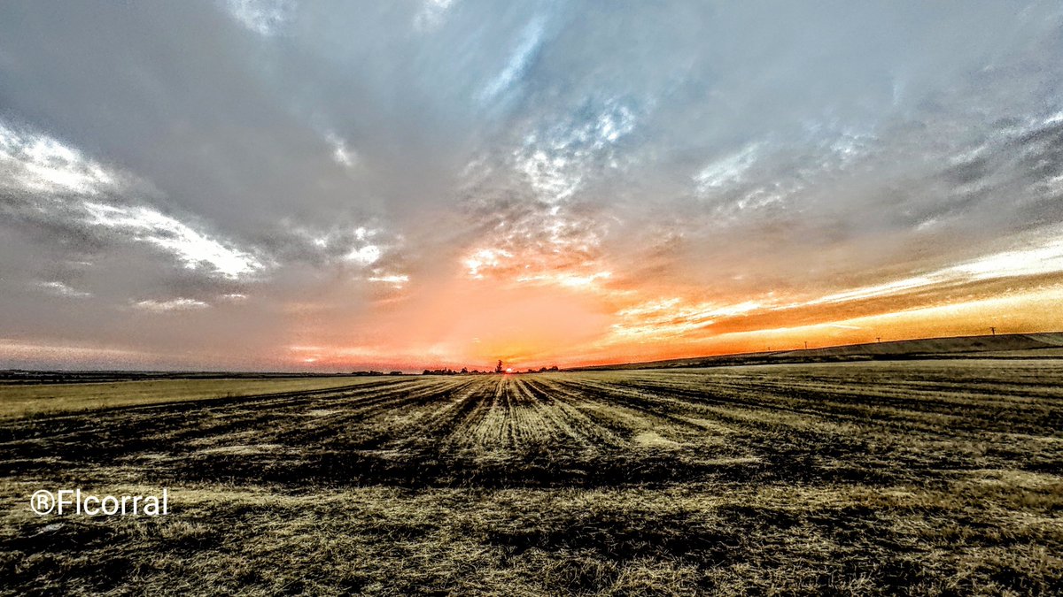 FLCorral's tweet photo. El color anaranjado-rojo del cielo amaneciendo sobre estos campos amarillentos me trae a la cabeza que en Zamora ese color vuelve a cambiar, otro verano más, por el negro-ceniza y duele el alma https://t.co/6VHaGESOAk