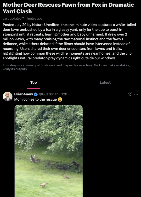 Zeeko__Dev's tweet photo. THIS GUARDIAN DEER IS CURRENTLY TRENDING AFTER RESCUING HER FAWN FROM A DEADLY FOX ATTACK!!

The fox was attacking the baby deer when the mother came charging out of nowhere to protect it

Everyone is calling her "The Guardian Deer"

https://t.co/eU24t0EuB5

This is some National Geographic Wild Life shit...