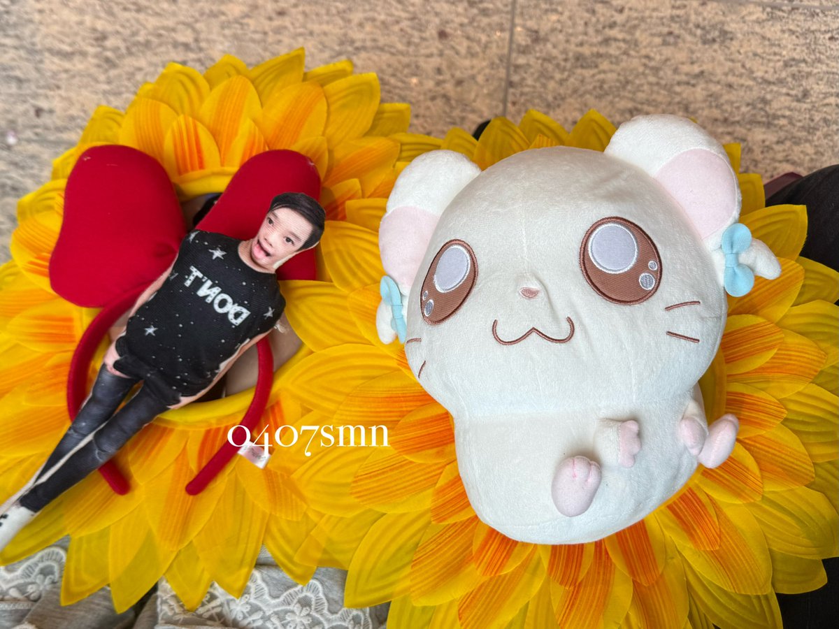 0407smn's tweet photo. 고마워 칭구🩷 https://t.co/VJivubWiul