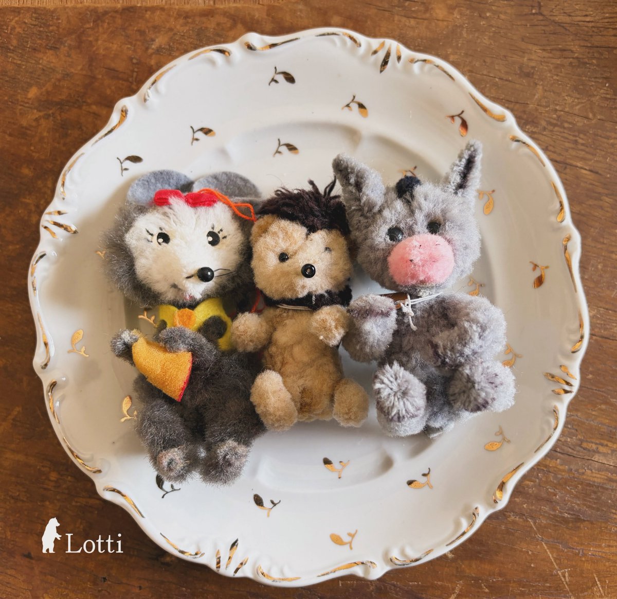Lotti_room's tweet photo. 🌟Onlineshop更新🌟
モールアニマルたちをupしました
小さい子はおらず
中ぐらいから大きい子たち
何かと人気のおさるさん🐒
やっぱりかわいいうさぎ🐇
優しいお顔のライオン🦁
四つ足の象🐘やきつね🦊
いろいろいますよー
ゆるい可愛さがたまりませんね💕

https://t.co/h7nlX9qKq6 https://t.co/QSD6fJPzl9