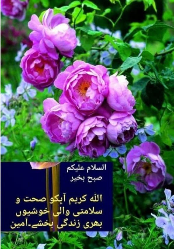 zahy_12's tweet photo. ﷽
#خاتم_النبیین_محمدﷺ
پر درود و سلام
#درود_وقرآن
Surat No 21
سورة الأنبياء
Ayat No 53

قَالُوۡا وَجَدۡنَاۤ اٰبَآءَنَا لَہَا عٰبِدِیۡنَ ﴿۵۳﴾

1
اللھم صلی علی محمد و ازواجہ و ذریتہ و اصحابہ و سلم
#خاتم_النبیین_محمدﷺ
#قافلہ_ادب #Zahy_Ke_Chutkale https://t.co/hhmazhdTAf