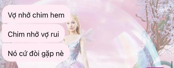 embemeosone's tweet photo. hết nói luônnnn
#fwb https://t.co/VhtrVB7uoT