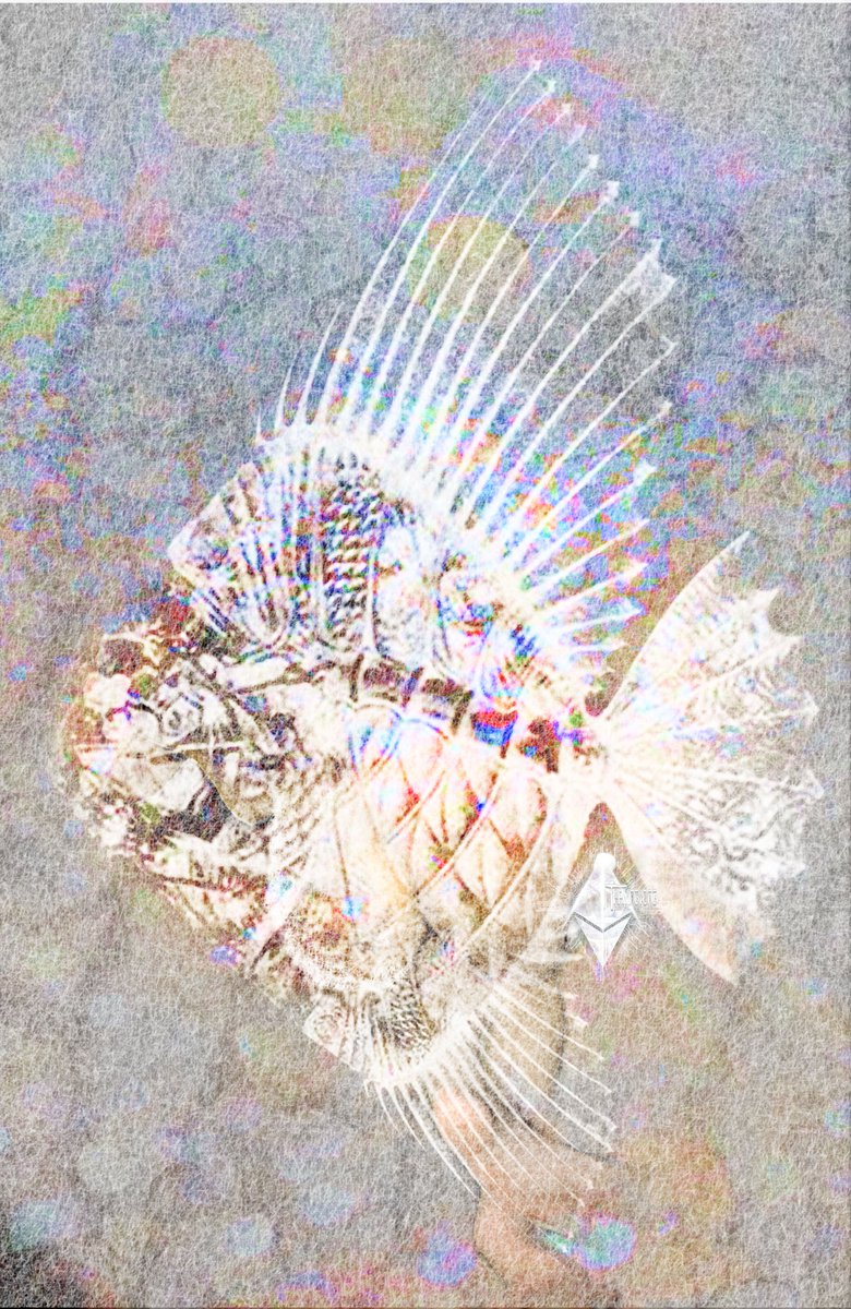 PornployT's tweet photo. WHITE FISH        https://t.co/o0RbmNsK7h
https://t.co/NyvLqWZW5t        https://t.co/kDfK6jJ60O https://t.co/zIs6RrDzqV
