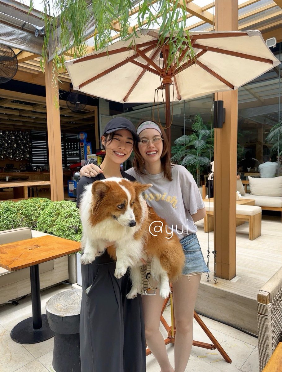 Kaoxkwong's tweet photo. Q : อีก10ปีข้างหน้าจะเป็นยังไง 
หลิง : เราก็ไปวิ่งสวนเบญกัน ใช้ชีวิตให้มีความสุข
ออม : เล่นกับหมาโกลเด้น20ตัว อยากใช้ชีวิตในแบบที่อยากใช้

แก ชั้นน่ะนะ 🫪🫪🫪🫪🫪 https://t.co/M0pAyGGxF0