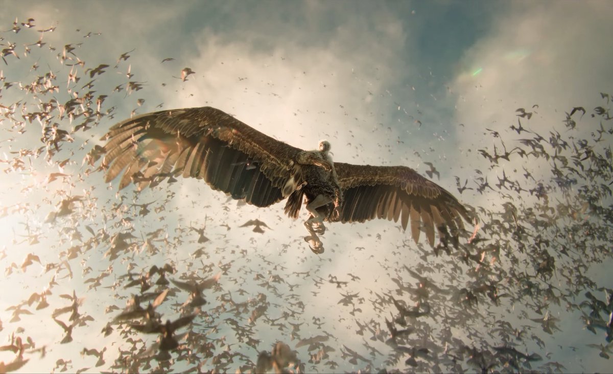 PerthClassic's tweet photo. I’m a professional Nolan dickrider, but if these shots were from a Nolan movie all the critics would be busy giving him a blowjob https://t.co/8XGJ5eC2np