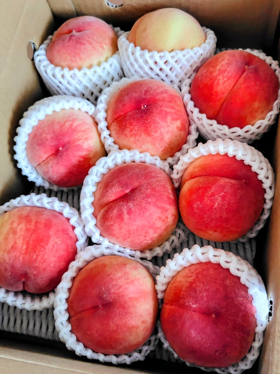setaka_kirin's tweet photo. もも祭だ〜🍑 https://t.co/YG5pZWY8Ae