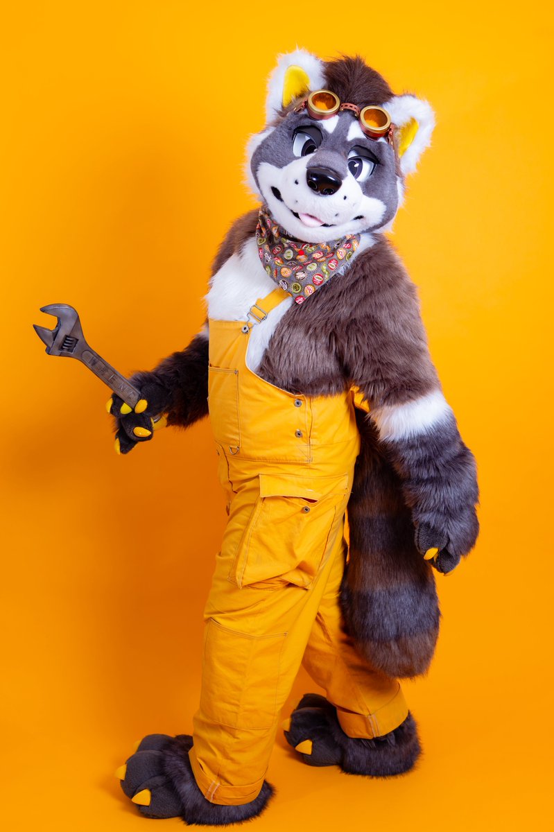 PRS_Raccoon's tweet photo. 𝓜𝔂 𝓷𝓮𝔀 𝓰𝓮𝓪𝓻…✨🕶️✨🦝⚙️✨
📸(@denwafox1 )
#Fursuiteveryday https://t.co/xqseyBe7he