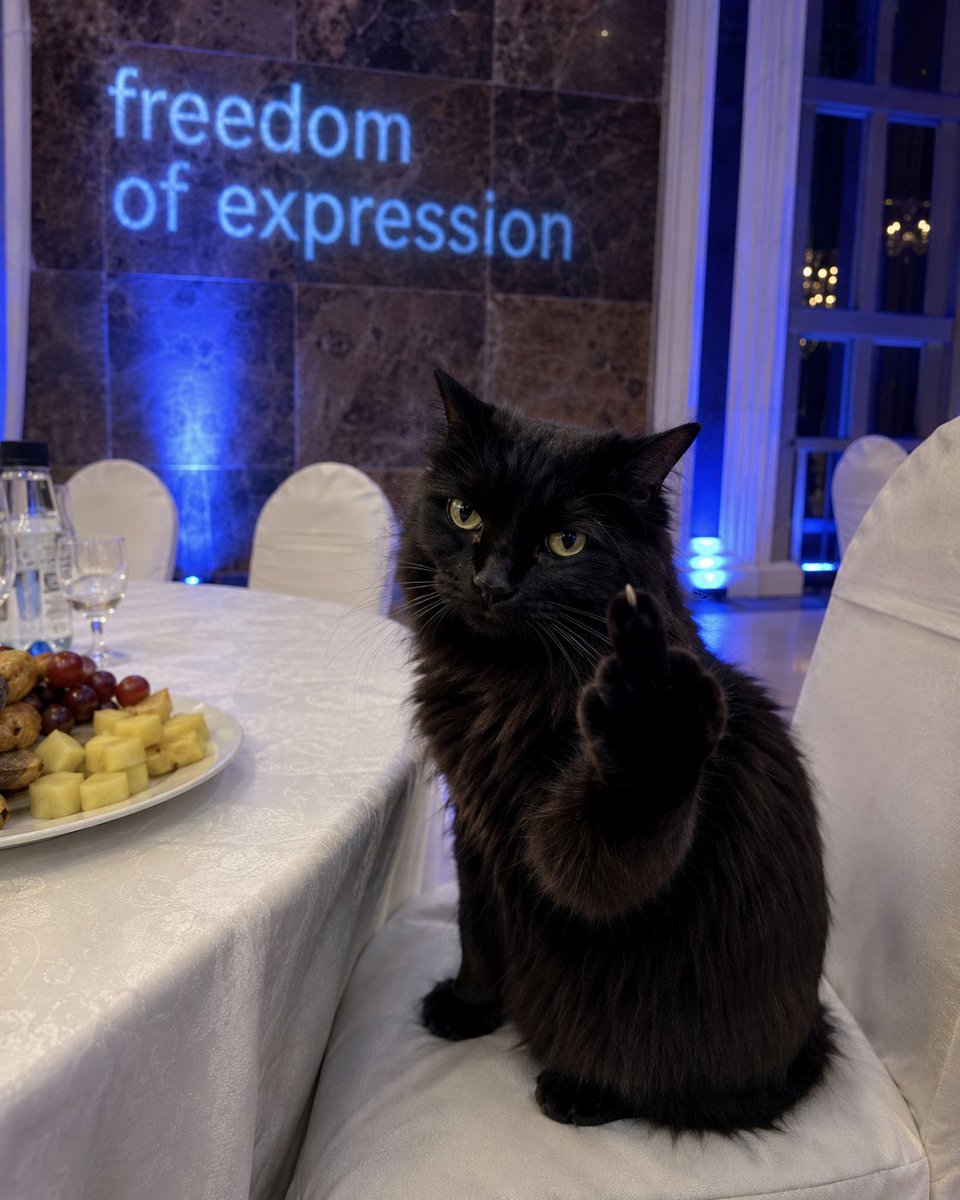 merlintgcat's tweet photo. @telegram https://t.co/iDaVf0Yr7X