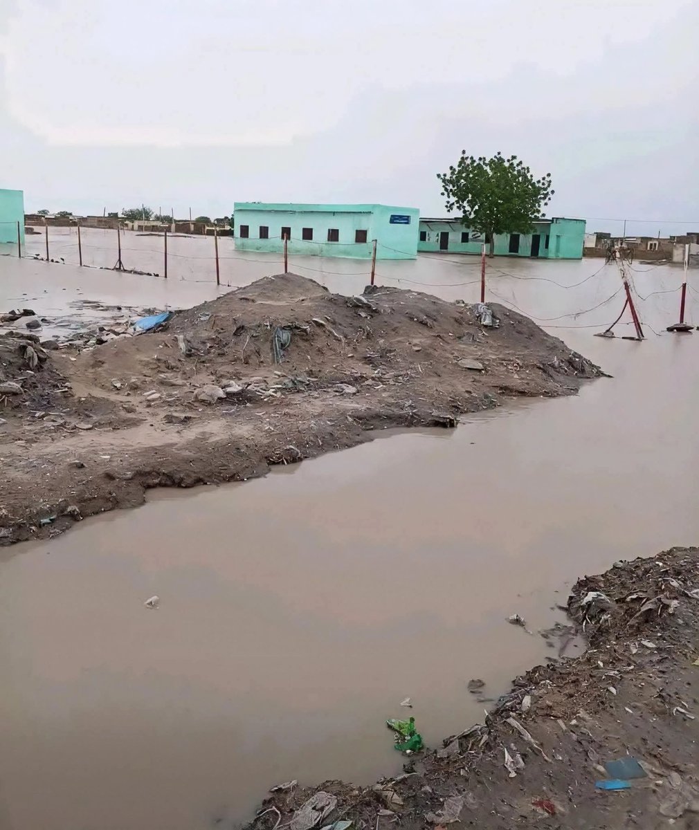 sudan_post's tweet photo. مياه الأمطار تحاصر مدارس مدينة كوستي ومناشدات بإنقاذ العام الدراسي https://t.co/dOeP8c7Y1f