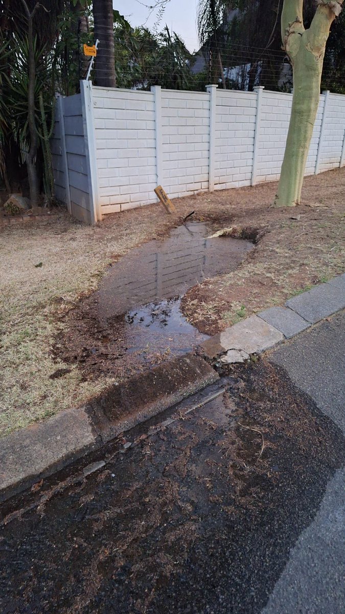 Shajeshni's tweet photo. @JHBWater please be advised that there is no water on Thrush Avenue in Boskruin. We have two leaks on the street. https://t.co/3wmN7iuk11