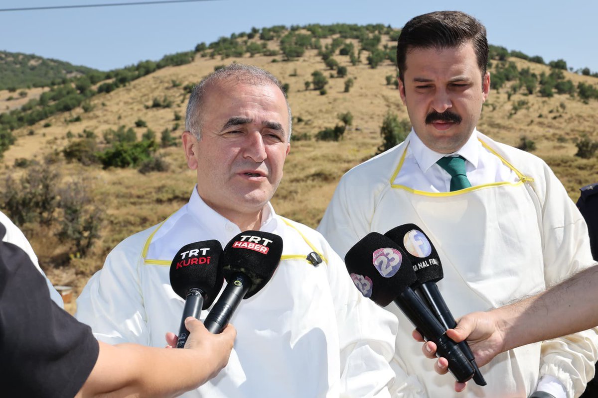 numanhatipoglu's tweet photo. Bugün Sivrice ilçemize bağlı Gözeli Köyü'nde, Arı Yetiştiricileri Birliği Başkanımız  Fırat Canabay'a ait arılıkta bal hasadına katıldık.

Arıcılık; alın teri, sabır ve özveri isteyen, aynı zamanda ilimizin tarımsal üretimine ve ekonomisine önemli katkılar sağlayan stratejik bir üretim alanıdır. Elazığ'da 1.507 üreticimiz, yaklaşık 110 bin arılı kovan ile yürüttükleri üretim sayesinde hem ilimizin hem de ülkemizin ekonomisine değer katmaktadır.
Zengin floramızın sunduğu doğal kaynaklarla üretilen Elazığ balı; kendine özgü aroması, yüksek kalitesi ve doğal yapısıyla tüketicilerin tercih ettiği, piyasada aranan önemli bir marka değeri hâline gelmiştir.
Arı Yetiştiricileri Birliği Başkanımız  Fırat Canabay'ın şahsında, emekleriyle üretime güç katan tüm arıcılarımıza te��ekkür ediyor; üreticilerimizin her zaman yanında olmaya devam edeceğimizi bir kez daha ifade ediyorum.

Bereketli, bol kazançlı ve hayırlı bir hasat sezonu diliyor, emeği geçen herkesi gönülden tebrik ediyorum.