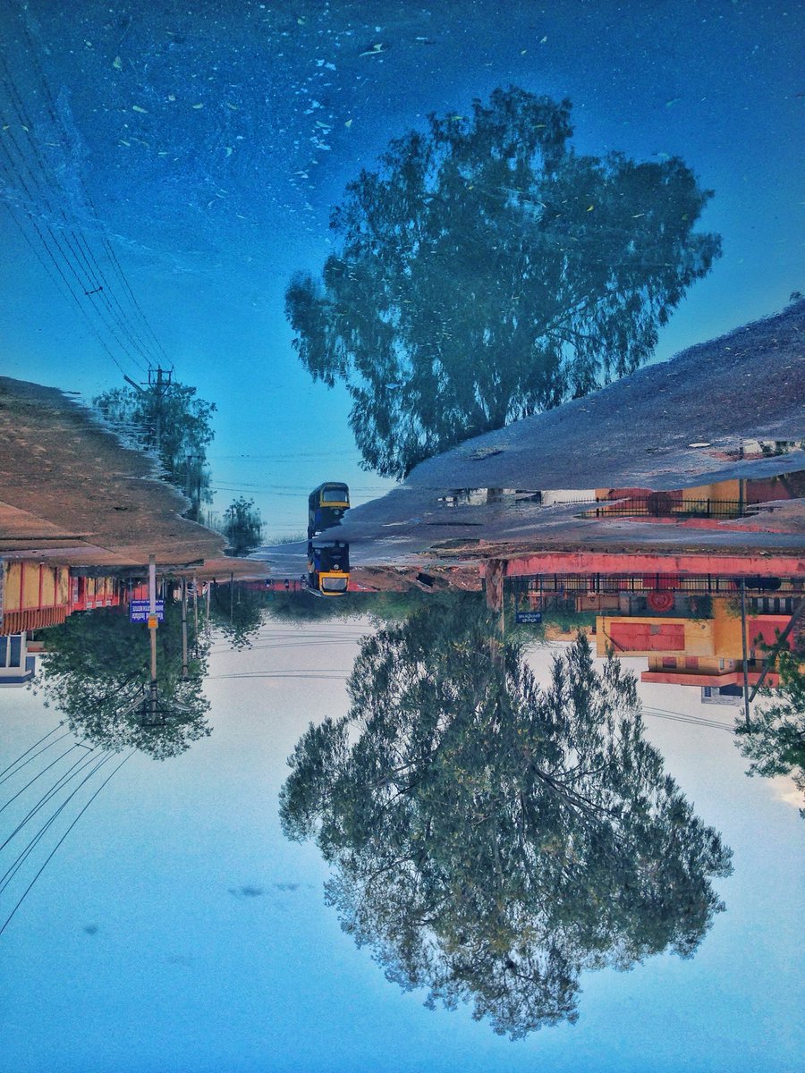 DipeshDutt's tweet photo. Photo challenge: Reflection
#upsidedown 🔄 https://t.co/OMqXNm67aA