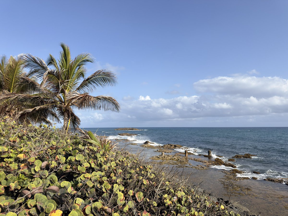 Jasvindas's tweet photo. Puerto Rico 26’ https://t.co/WGWu7nL6ec