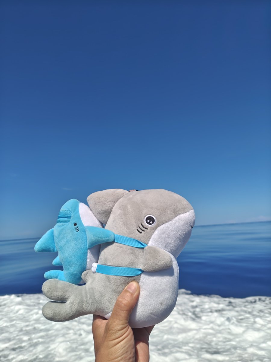 kanawata0217's tweet photo. つるつるの凪が綺麗過ぎる
うちの子ザメちゃんも喜んでおります
そして今日は空いてる日なのでここ
ビールの種類変わってました
#おでかけ子ザメ 
#子ザメとまいにち https://t.co/xH5kOLuHLv