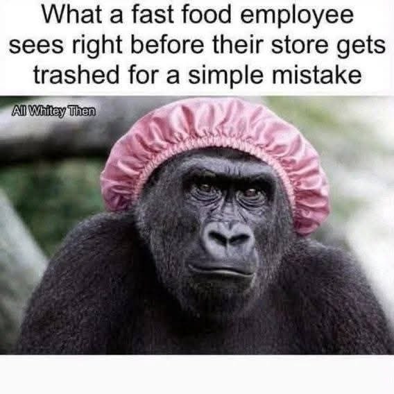 Around Town Memes tweet media