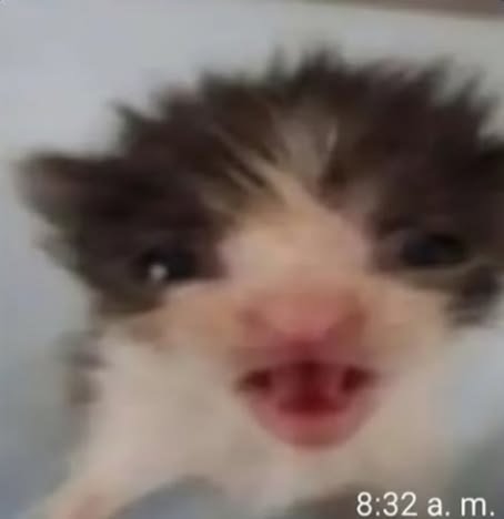 Minky_002's tweet photo. Pinches sismos cerotes, se les antoja ocurrir de madrugada, solo espero que el más fuerte no ocurra de madrugada, o se repetirá lo de 1976 https://t.co/gH6SIQ98XB