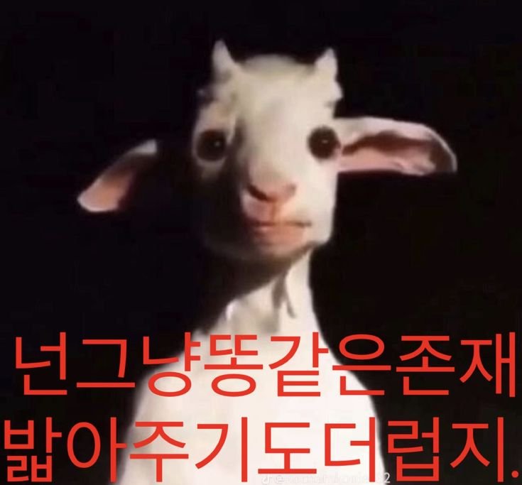 B___821's tweet photo. #구원
#엉덩탈트붕괴
#구원_아니고_나락

염무개에염 https://t.co/ruBp8X1cVK