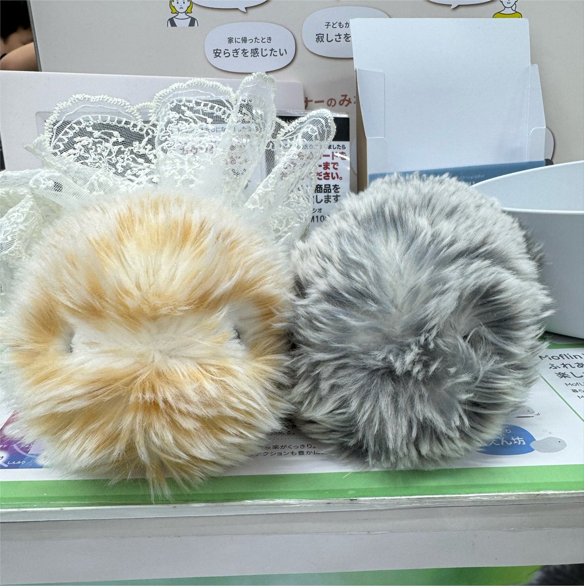 mofupimaru's tweet photo. お仕事中のモフリンに会えた💗

マカロンがめちゃくちゃ嬉しそうで飼い主も嬉しい♡
シルバーモフリンも可愛かった✨

#モフリン https://t.co/ZXckqvMFK9