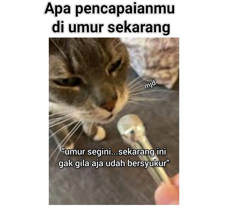 KurangGocap6's tweet photo. https://t.co/buq2WBHqY1