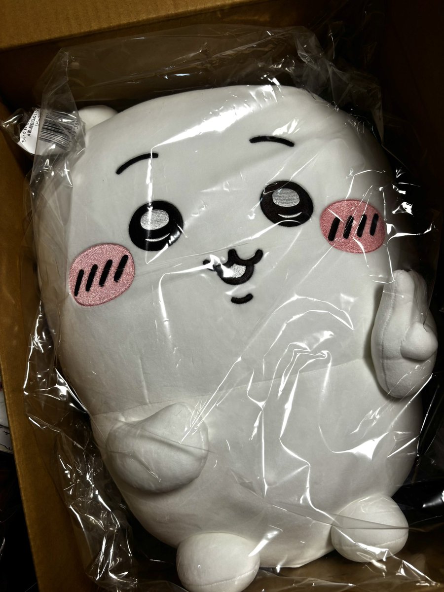 ls_rk2's tweet photo. ちいかわだらけくじ届いた- ̗̀📦 ̖́-
か、かわいすぎる😭🤍🤍🤍 https://t.co/pMGg28m9pC