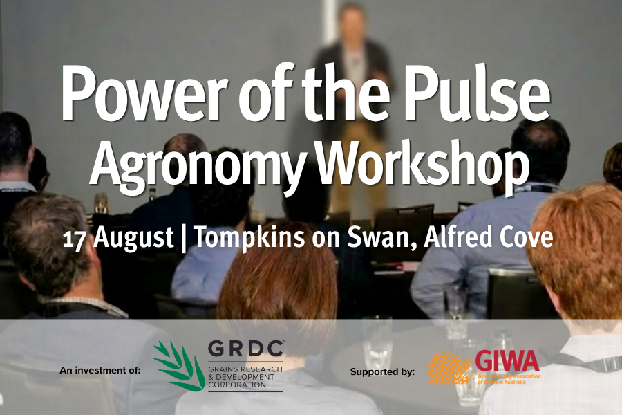 GrainIndustryWA's tweet photo. Program preview 📋 Power of the Pulse Agronomy Workshop features Erin Cahill, Audrey Delahunty + James Easton and Federico Ribalta.  Case studies, technical sessions, facilitated discussion. Tompkins on Swan, 17 Aug, 10am-2pm Cove. Limited places available. Register →https://t.co/wjuwEQhldO