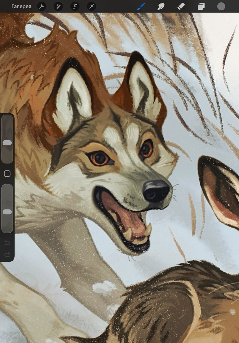 _Astarcis's tweet photo. Fragments of my artwork for "У нас лапки" zine dedicated to dog breeds of the world.

I worked on West Siberian Laika 🐾 https://t.co/tx4vvVRZJN