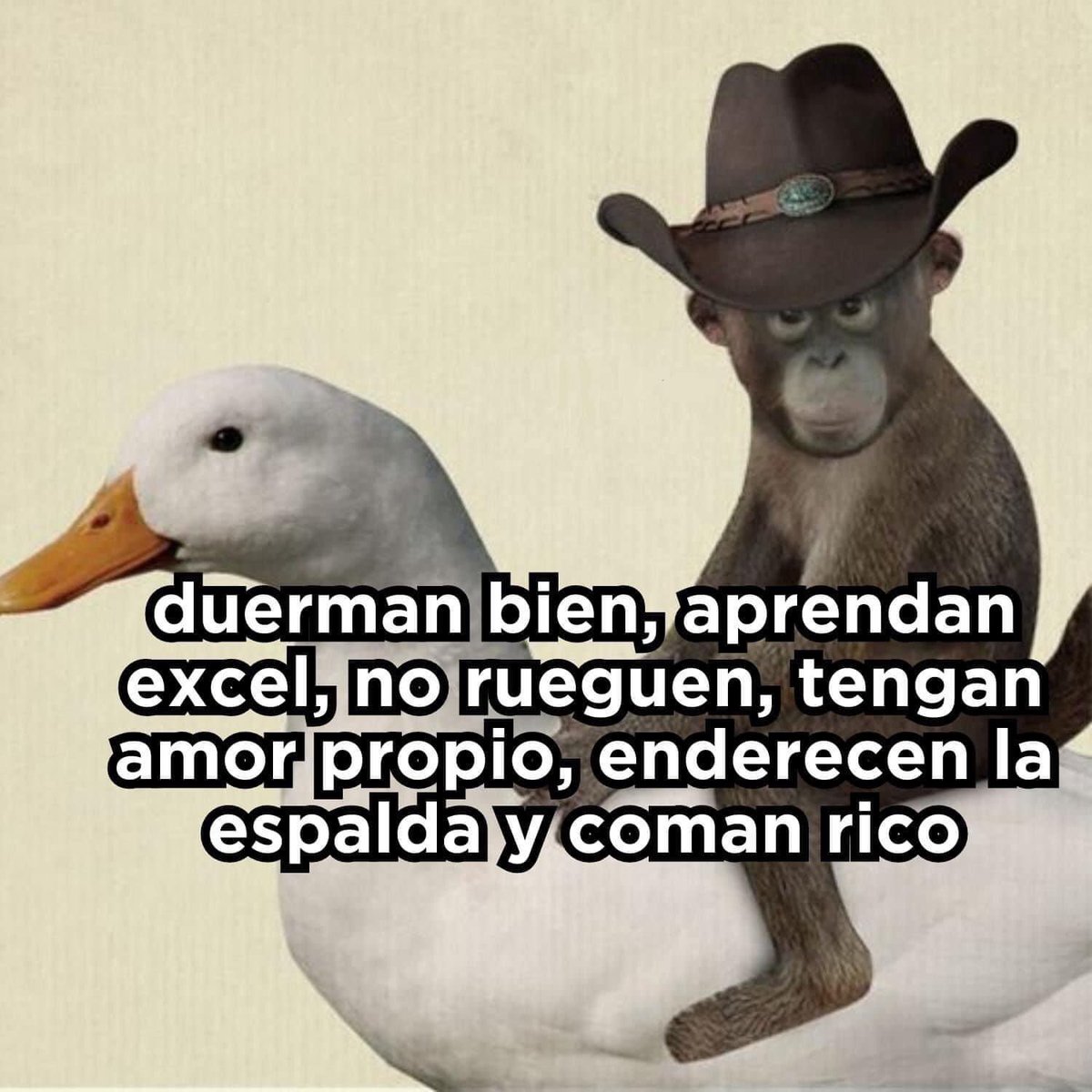 En Júpiter tweet media