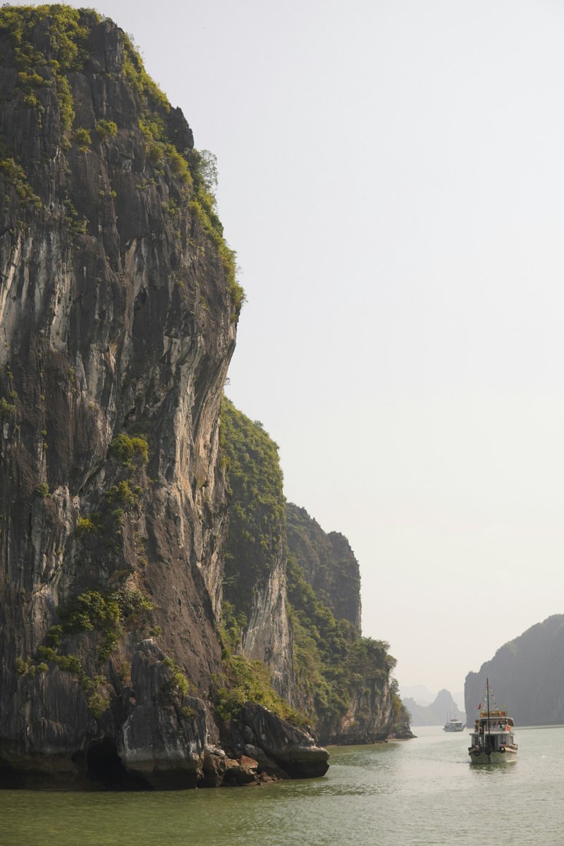 earthcurated's tweet photo. 🇻🇳 Ha Long Bay, a stunning seascape of over 1,600 limestone karst islands and islets rising dramatically from emerald waters. https://t.co/g6343kfJiM