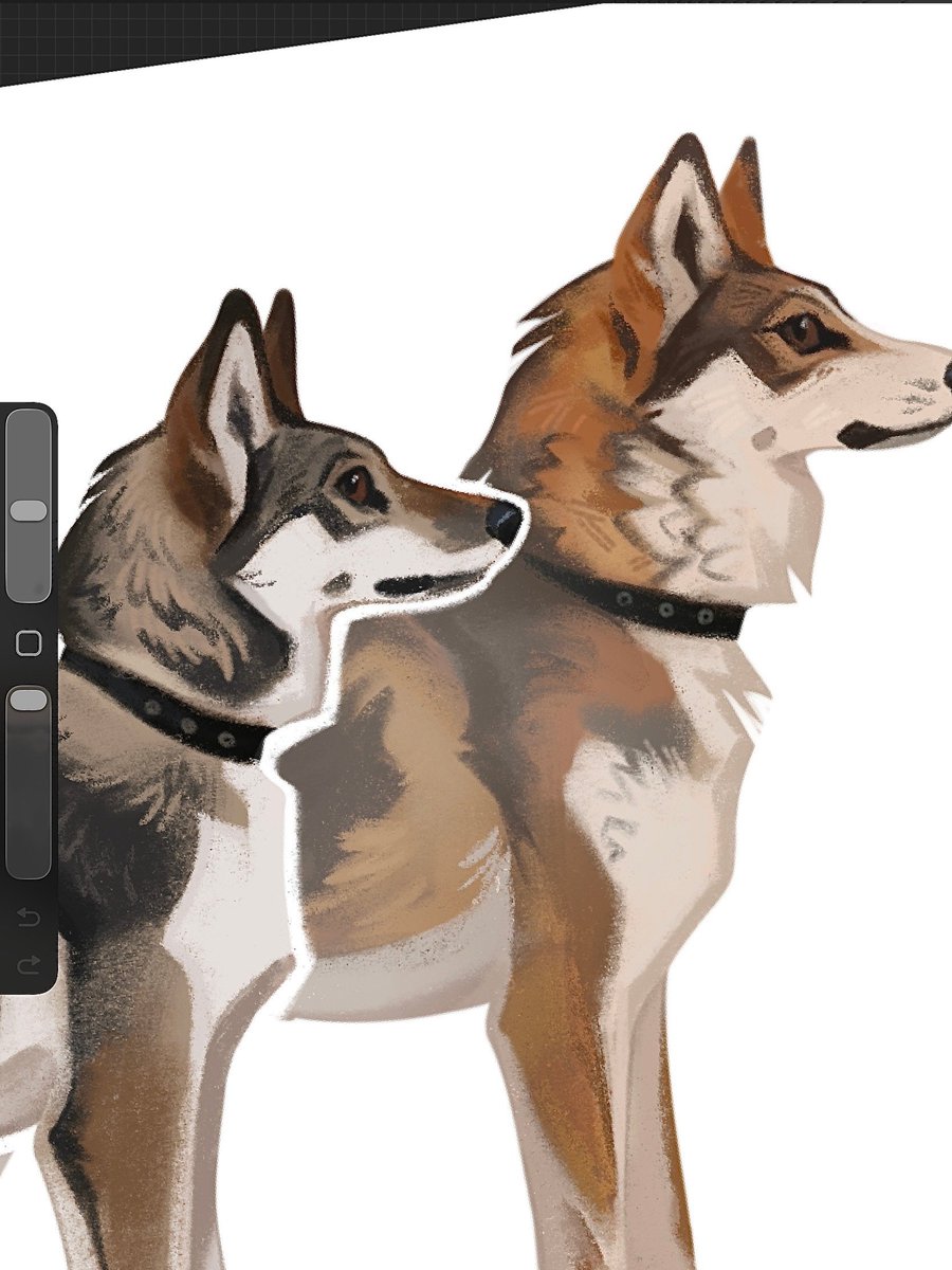 _Astarcis's tweet photo. Fragments of my artwork for "У нас лапки" zine dedicated to dog breeds of the world.

I worked on West Siberian Laika 🐾 https://t.co/tx4vvVRZJN