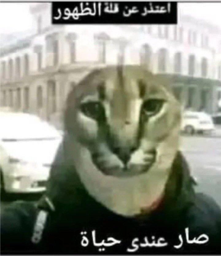 هارون tweet media