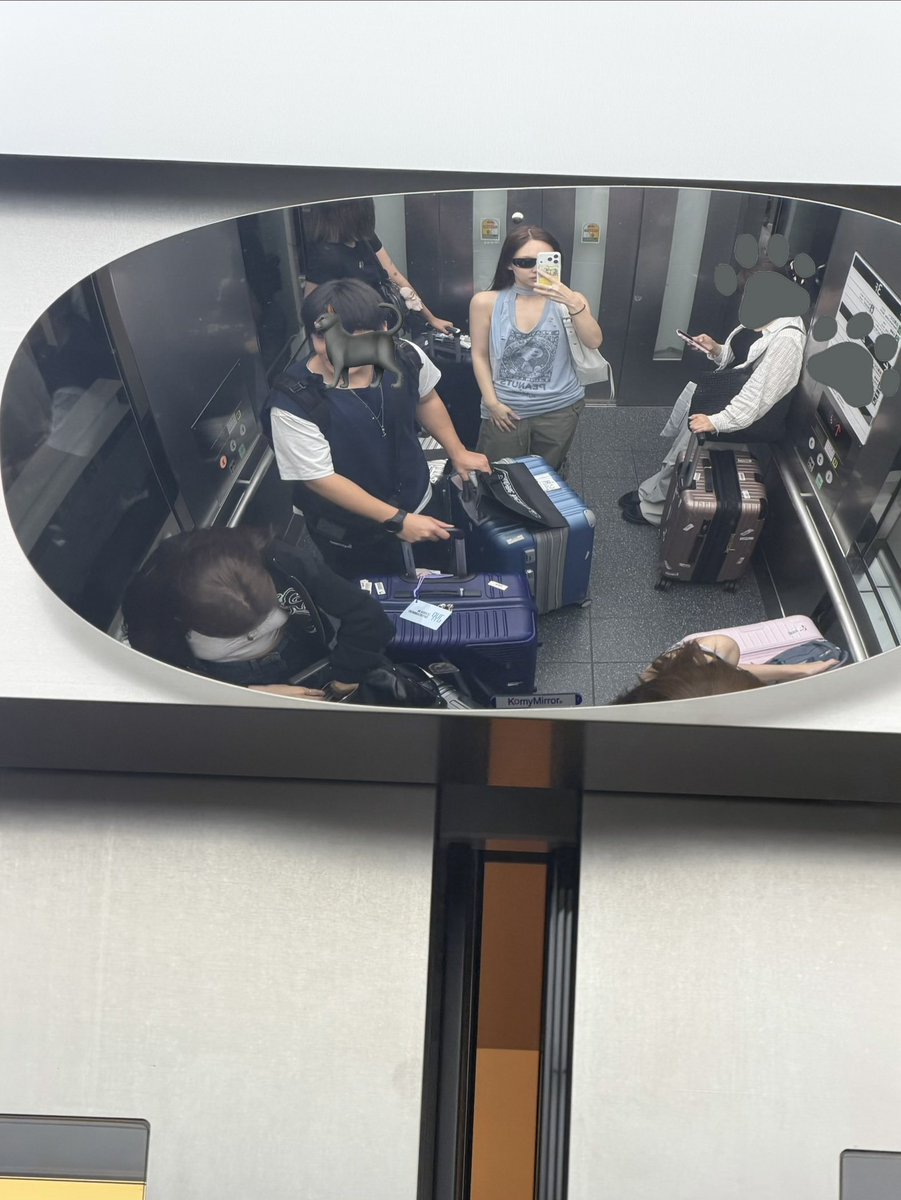 greendoggo29's tweet photo. 260730 🐰📸 https://t.co/Z7Gqqo54OC