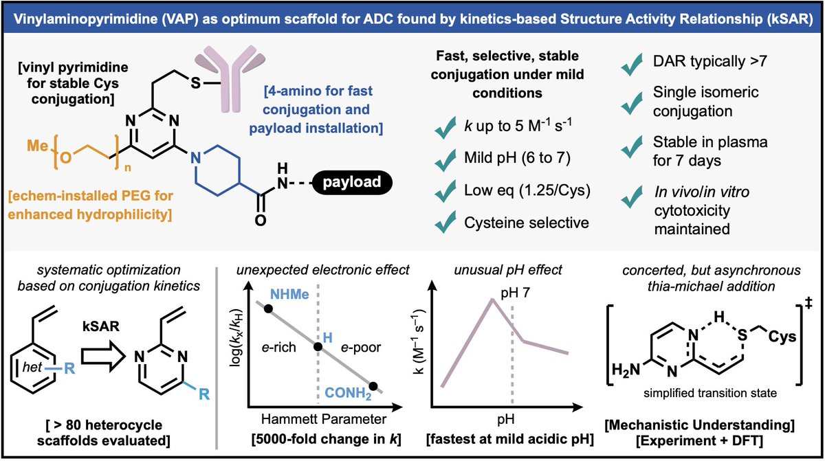BaranLabReads's tweet photo. A Kinetics-first Approach Reveals Optimum Vinylaminopyrimidines for Cysteine-Based Antibody Conjugation – an exciting collaboration with @scrippsresearch colleagues @Dawson_Group and the Blackmond group along with BMS – appearing now in @ChemRxiv : https://t.co/4f4UdZSkZ0 https://t.co/QPaoYDfxO2