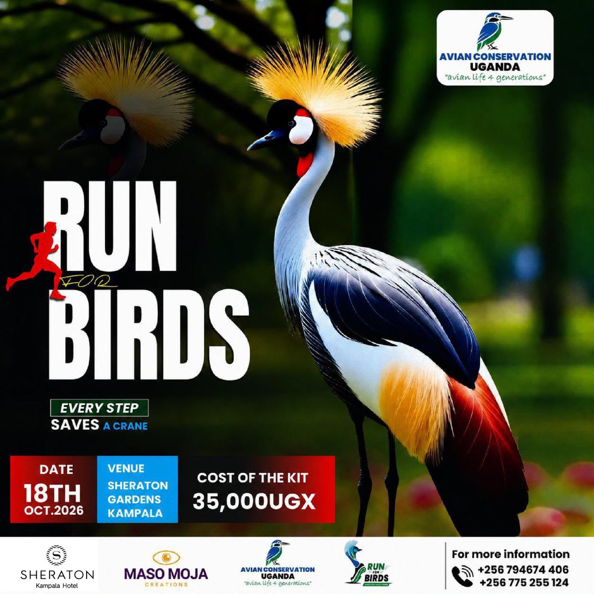 acus_uganda's tweet photo. We’re warming up to run for the Crane. 
Save the Date. Secure your kit today. 
Are you ready?

#RunForBirds #EveryStepSavesACrane #BirdConservation #AvianConservationUganda https://t.co/SZpRfuhzxe