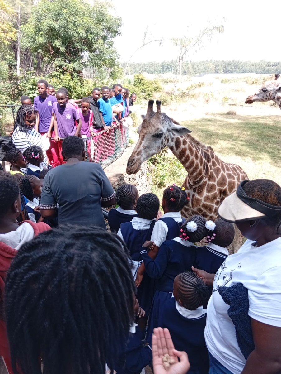 OKongowea's tweet photo. Pupils from Our Lady of Fatima Academy had an enriching educational trip to Haller Park, Bamburi. They explored wildlife, learned through experience, and created lasting memories.
Let your chirld join a school that nurtures academic excellence, discipline, and Christian values. https://t.co/RGYDBz6gs5