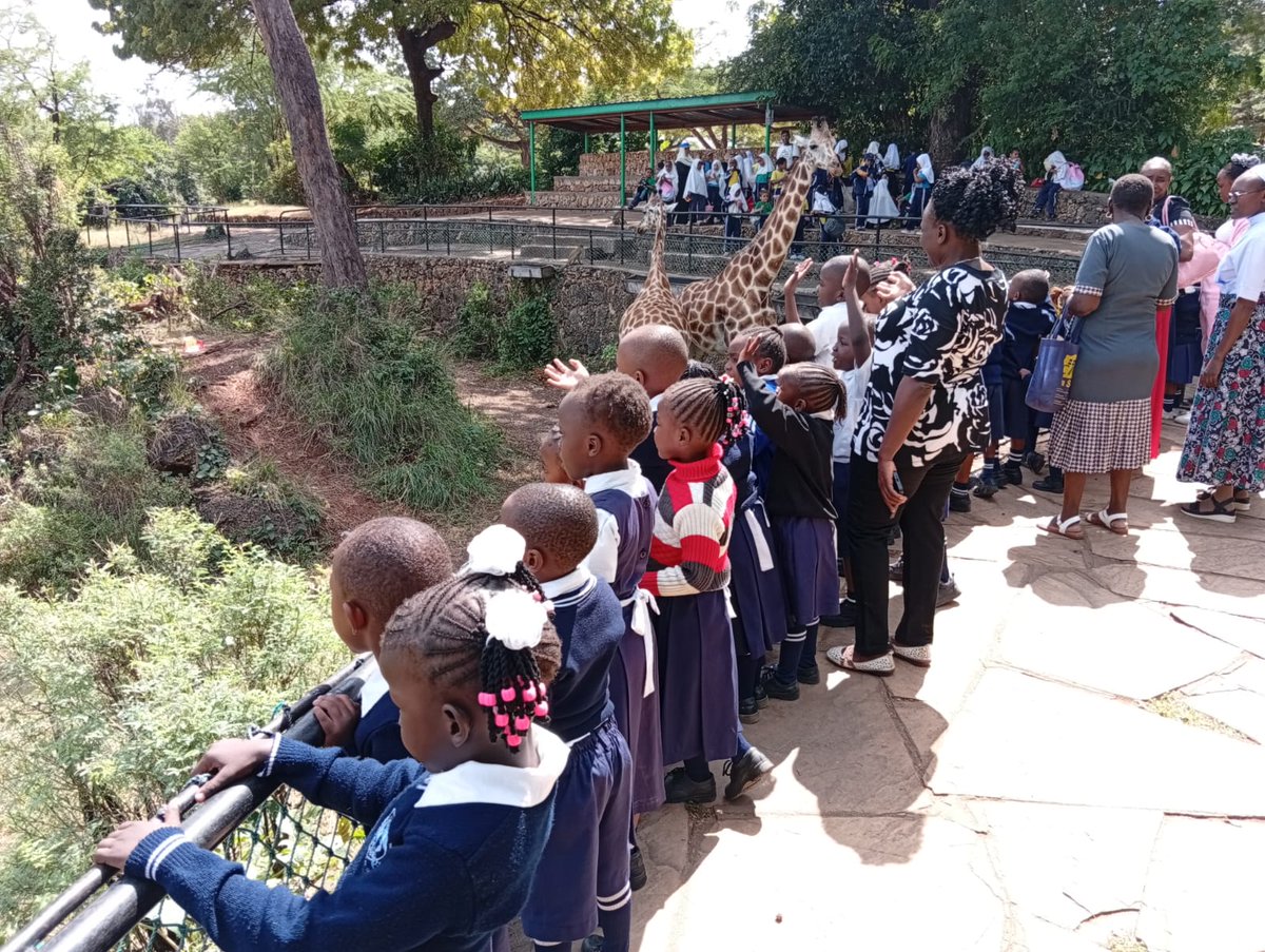 OKongowea's tweet photo. Pupils from Our Lady of Fatima Academy had an enriching educational trip to Haller Park, Bamburi. They explored wildlife, learned through experience, and created lasting memories.
Let your chirld join a school that nurtures academic excellence, discipline, and Christian values. https://t.co/RGYDBz6gs5