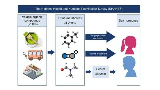 Toxics_MDPI's tweet photo. 🔥 #Highly_Cited_Paper
📚 Association between #VolatileOrganicCompound Exposure and Sex #Hormones in Adolescents: The Mediating Role of Serum Albumin
👨🔬by Xinyao Lian et al.
🧩https://t.co/bTChVpjlFW
#adolescent #serum_albumin #VOCs #sex_hormones #emissions https://t.co/ALTSzOlRsB