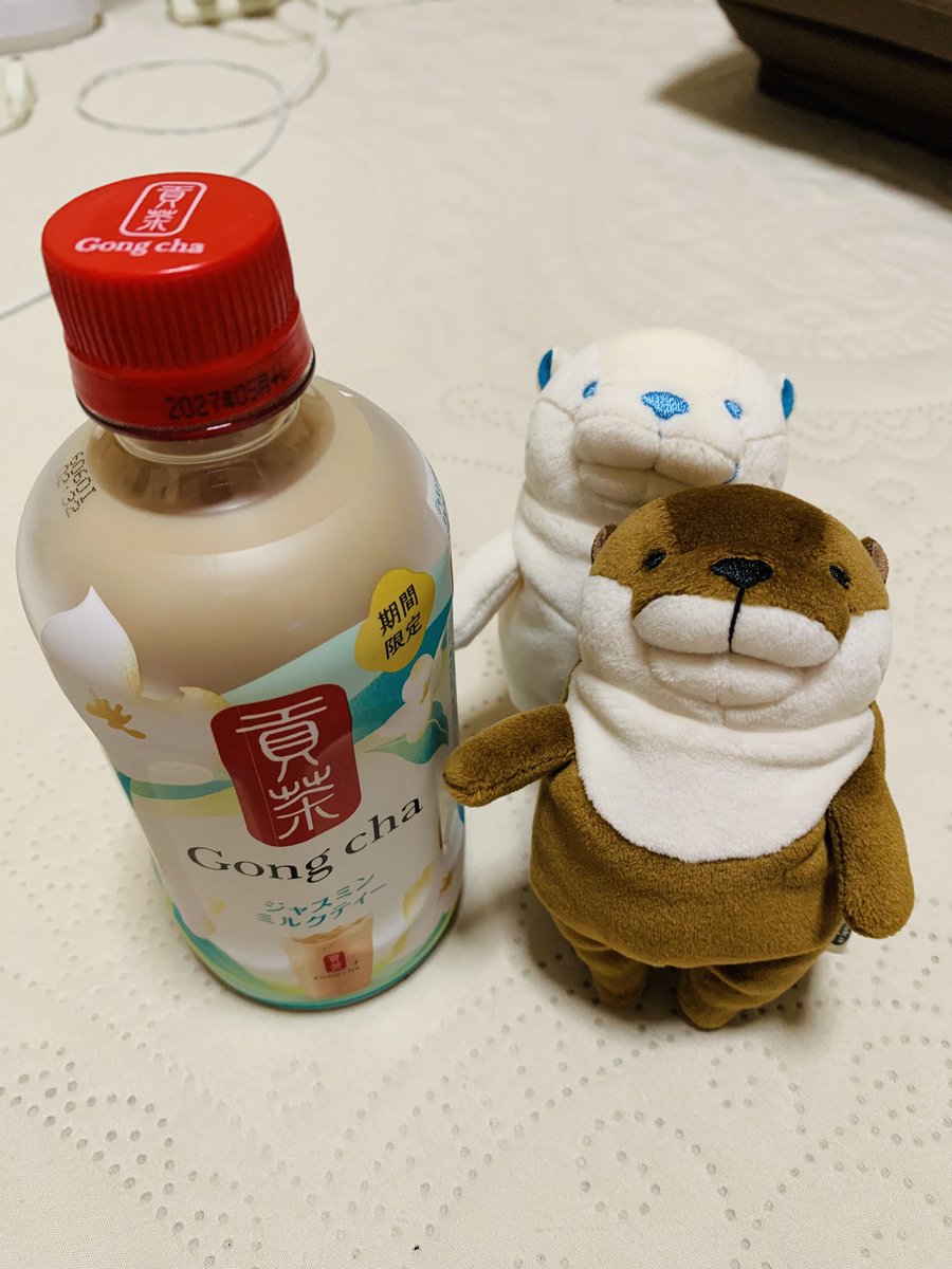 coconut_tunococ's tweet photo. ゴンチャのジャスミンミルクティー✨

#ぬい撮り
#ぬいぐるみ
#もちかわうそ https://t.co/kcnrVRT4EX