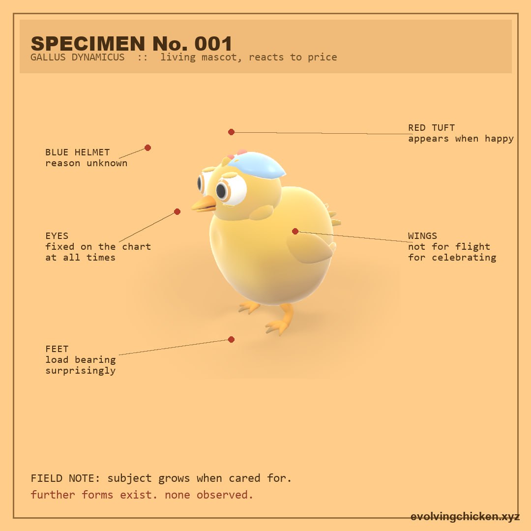 evolvingchicken's tweet photo. Let's break down the current chicken and have a closer look https://t.co/Ffd4kOuExO