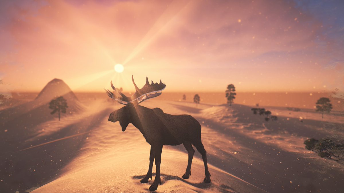 Moose Migration tweet media