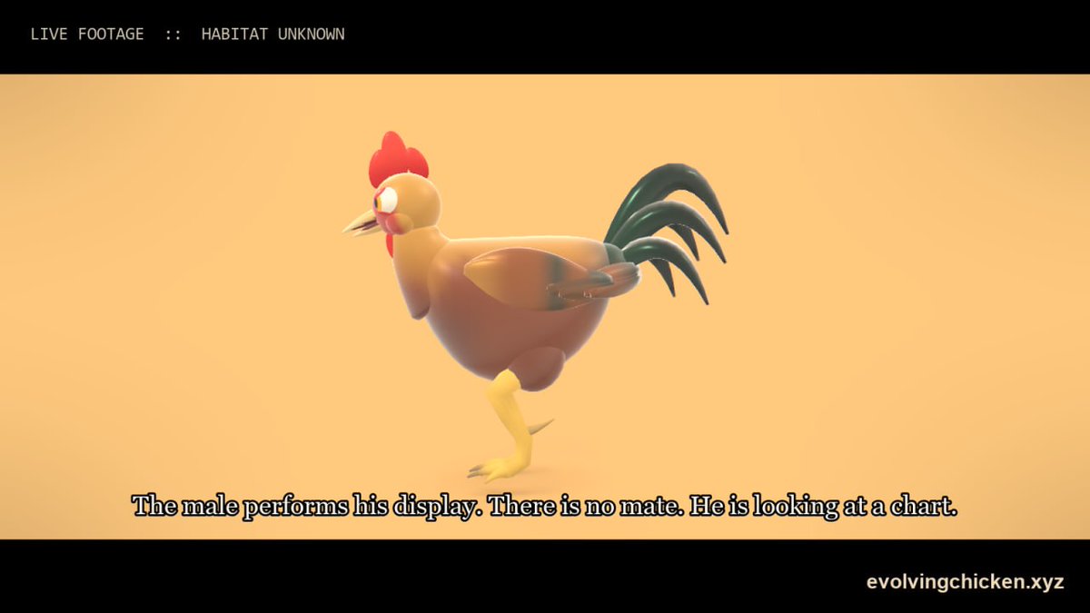 evolvingchicken's tweet photo. There is no mate. There is no chart. Just the evolving chicken. https://t.co/4erlrefej2
