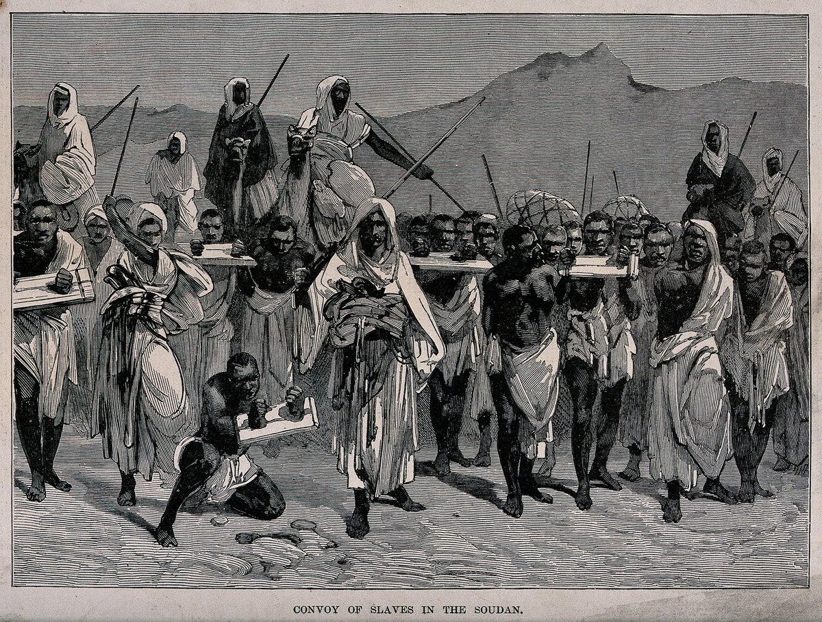 MorEdge_Insight's tweet photo. This is for @ZohranKMamdani @NYCMayor, 

If there’s going to be ANY debate about slavery reparations, it starts with the Arab slave trade. 

It was significantly bigger and wider, and it began centuries before the Atlantic trade, continued long after it ended, turned African women and children into concubines, and killed millions of men through castration. It still operates today through kafala systems in Qatar and other Arab states. 

No serious talk of the transatlantic slave trade should even begin until the Arab slave trade is laid out in full and Arabs pay massive reparations, in the trillions, for both the white Europeans they enslaved and the Americans they captured, the same enslavement that forced the United States into the Barbary Wars. 

Lead with that history or STFU and stop pretending this is about justice. As desperate as Muslims are to hide this history, just as you’re desperate to try to rewrite history of how Muslims slaughtered Jews for centuries long before Zionism and the modern state of Israel, you can’t ever hide it. Tens of millions were killed by Arab Muslims for this slave trade.