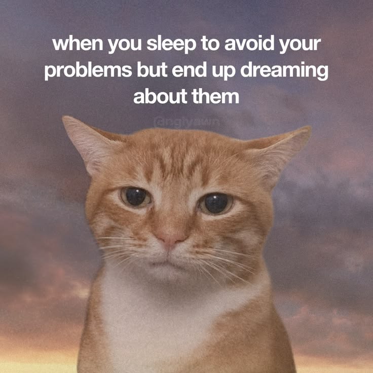 Meowversetwt's tweet photo. https://t.co/2RPdacwNkT