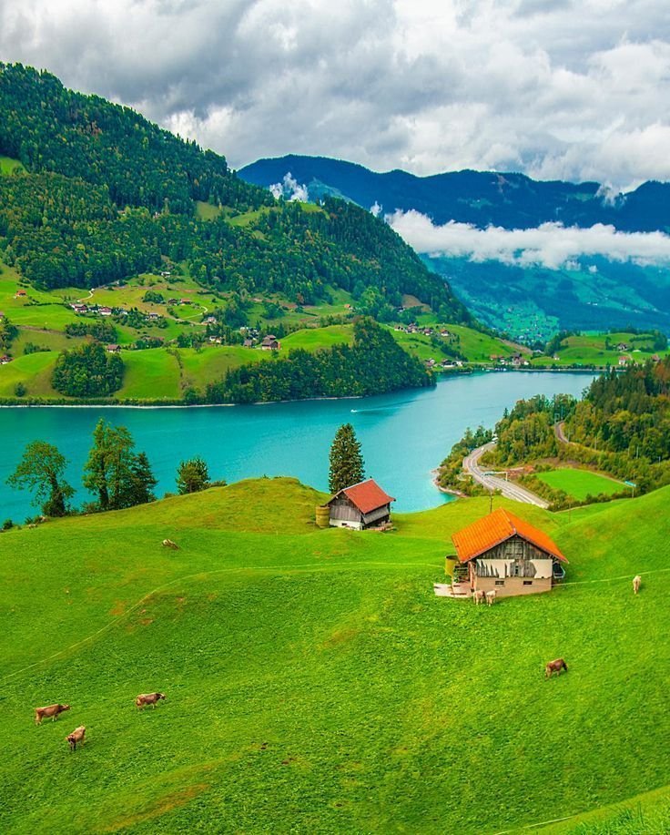 Alina_bloom79's tweet photo. Switzerland 🇨🇭 https://t.co/qVH1Ip9OzE