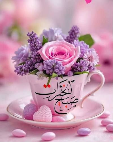 aliayesh1376's tweet photo. @AE16110805 https://t.co/4HySv66iXM