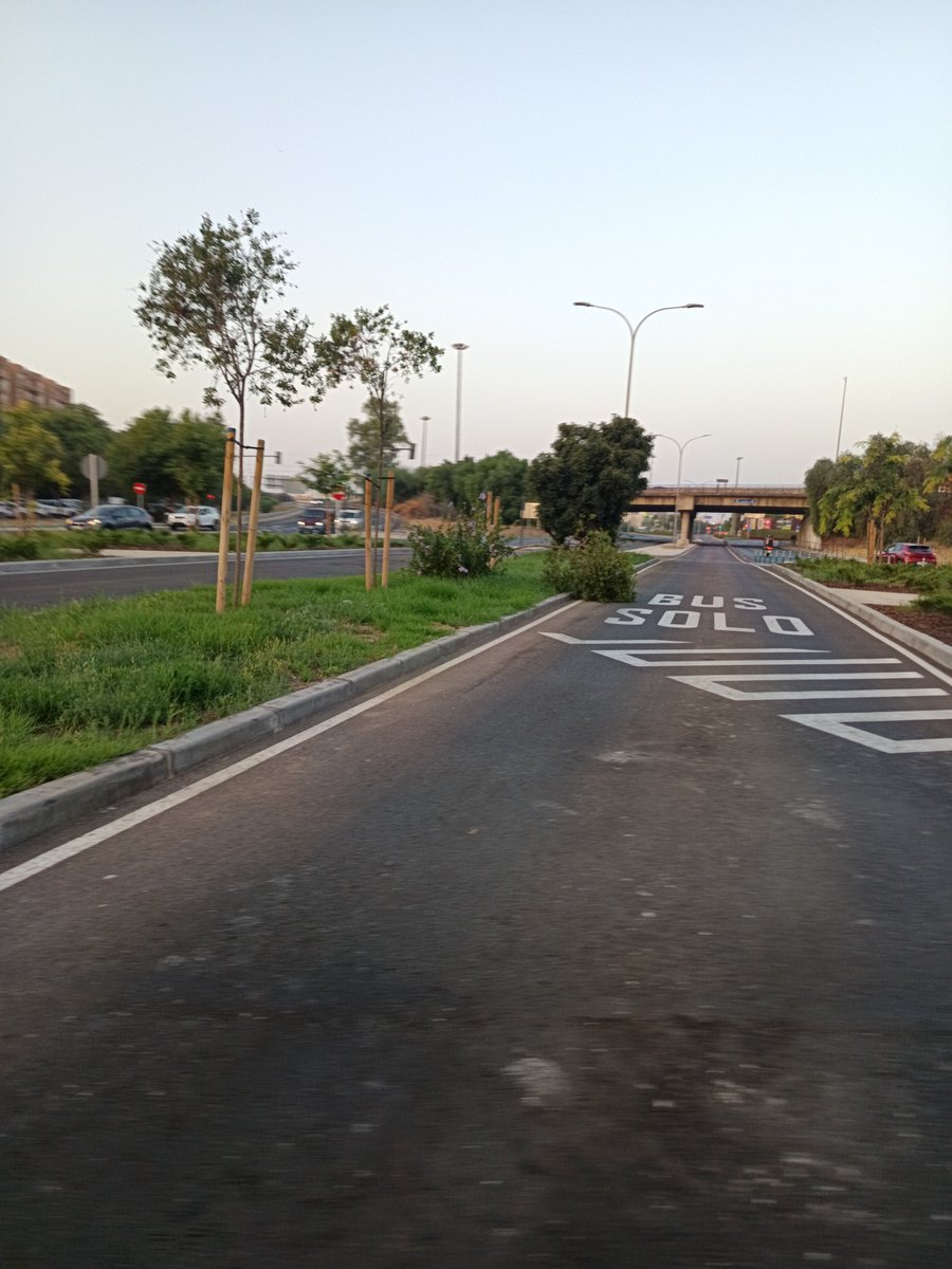 OscaPeter's tweet photo. @eveliarincon @MariaLuisaPYJ
Desde el viernes pasado lleva ese árbol caído .
Lo curioso es que está obstruyendo parcialmente el carril del Tranvibus y así sigue todavía a día de hoy. Estoy viendo la furgoneta de la empresa de jardinería a diario por ahi y no lo arregla. 🤦 https://t.co/sopE92IjgQ
