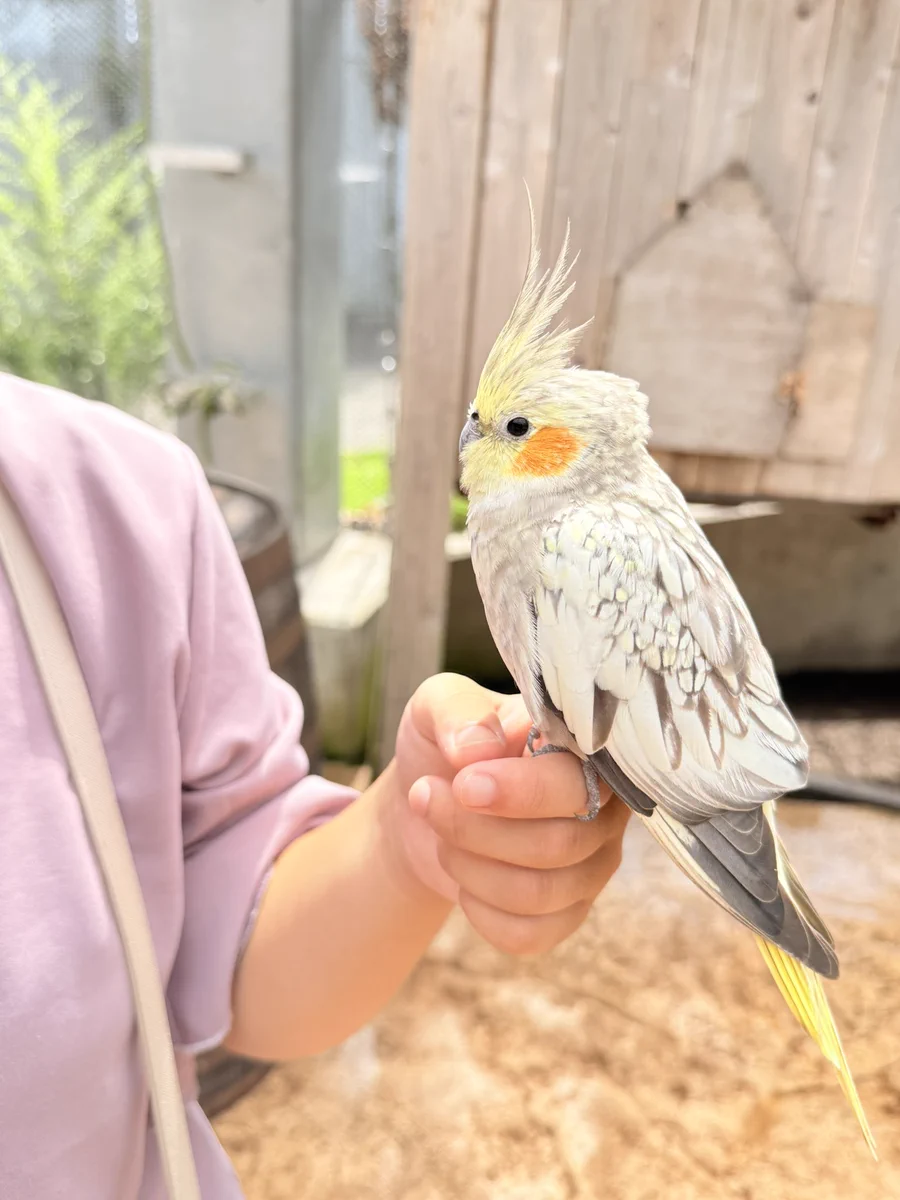 ちゃんみー على X: 