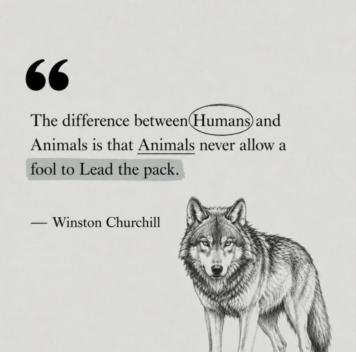 JosephLuvunia's tweet photo. #humans https://t.co/i3pwo7ZxBC