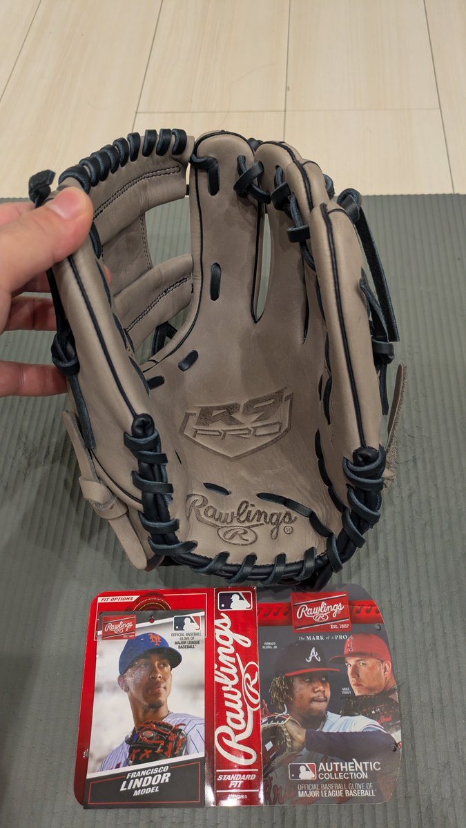 natsuki9352's tweet photo. 面白そうで買ってみたリンドーアモデル。 https://t.co/XTL6UJHcfd